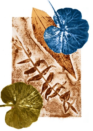 Stage Peinture Monotype, Vacances en famille, Peinture-aquarelle-collage